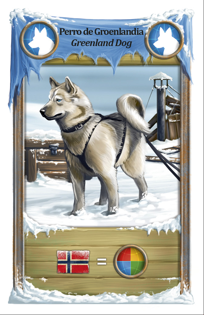 Greenland dog, blue