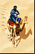 camel rider